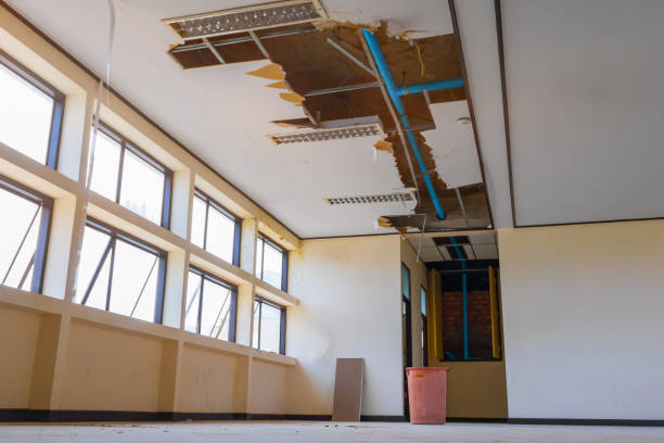 Best Emergency water damage restoration  in Tidmore Bend, AL